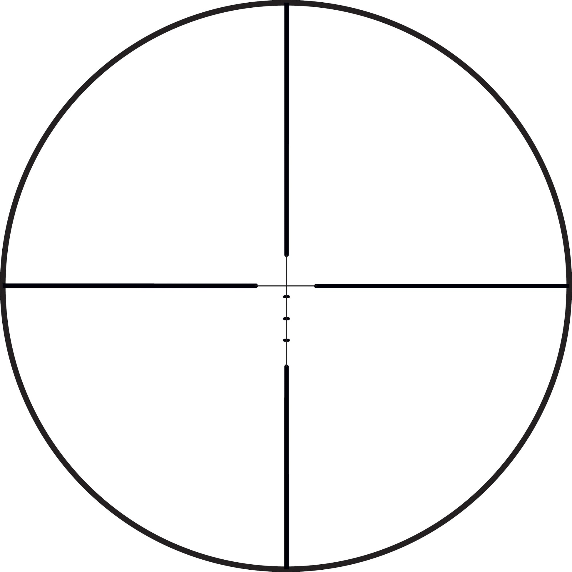 231339741.jpg