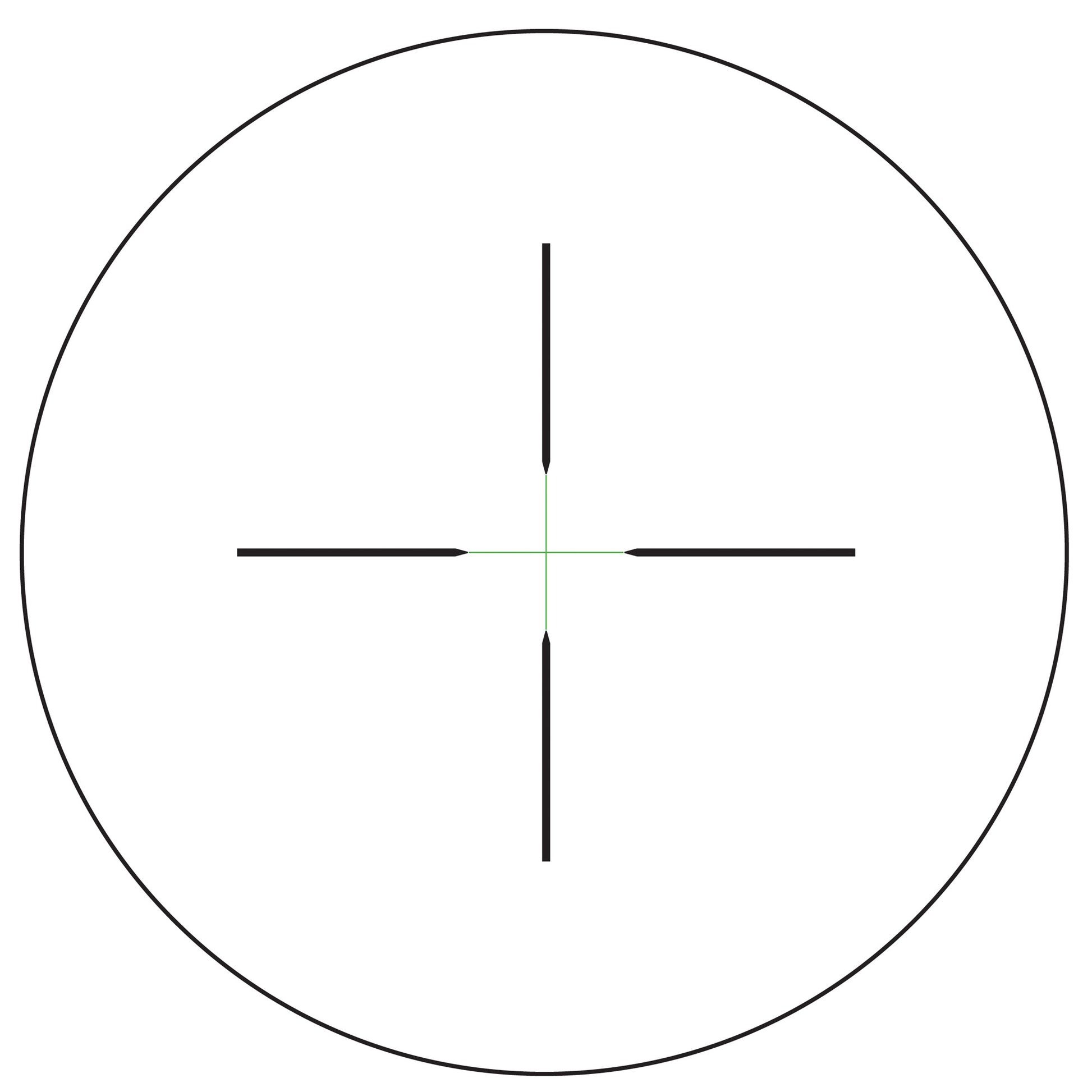 231341547.jpg