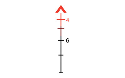 231346787.jpg