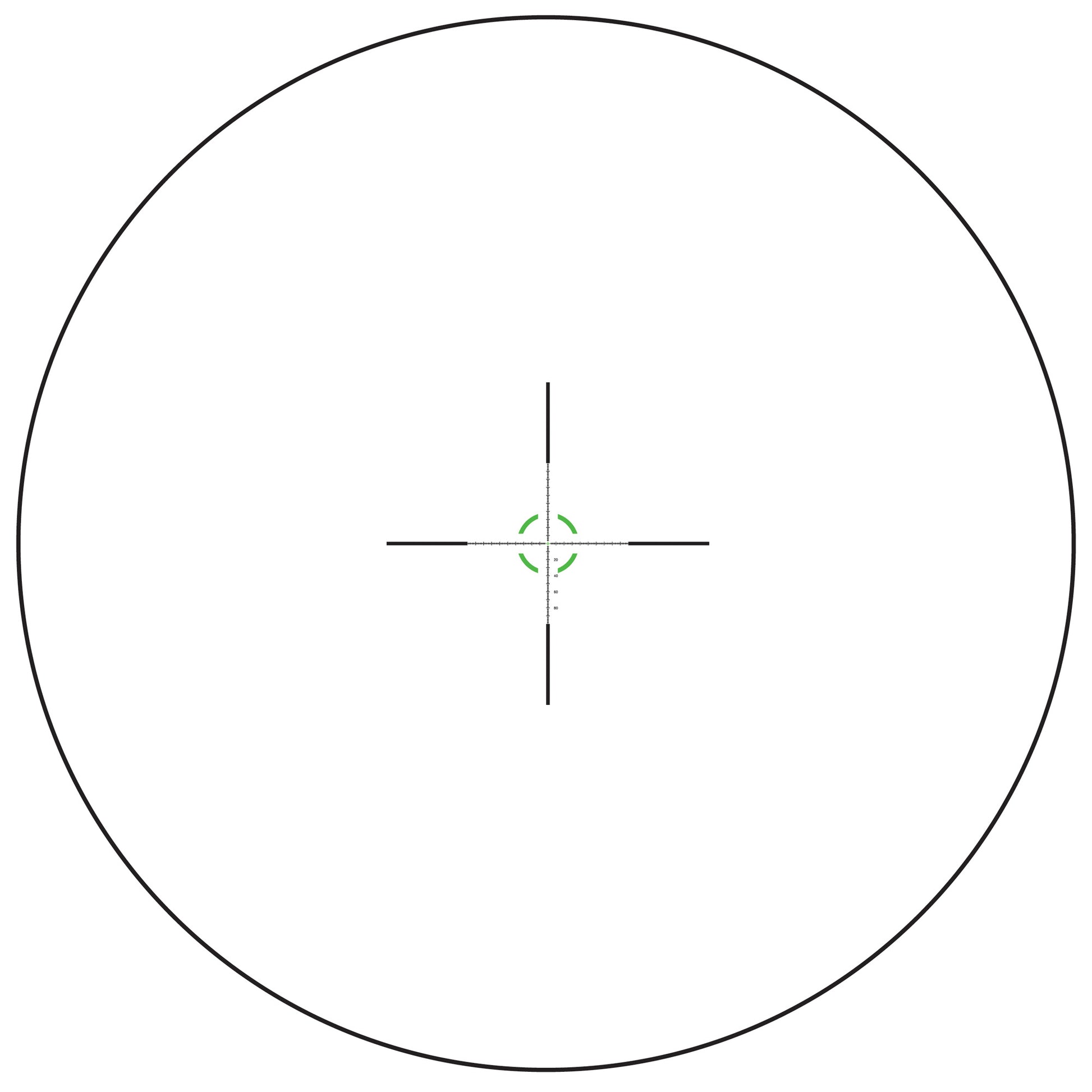 231347108.jpg