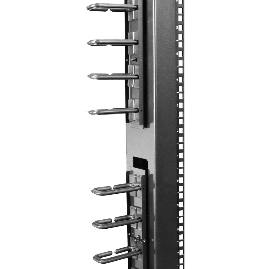 231350496.jpg