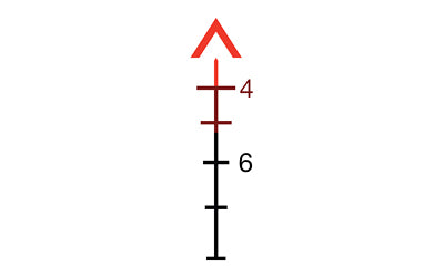 231351374.jpg