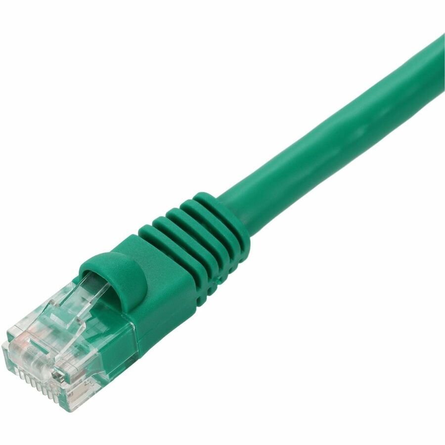 231352768.jpg