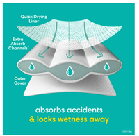 Pampers Easy Ups Training Underwear Girls Size 6 4T-5T, 104 Count EasyOptionXY LLC