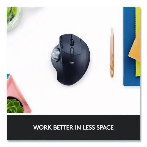 238109795.jpg