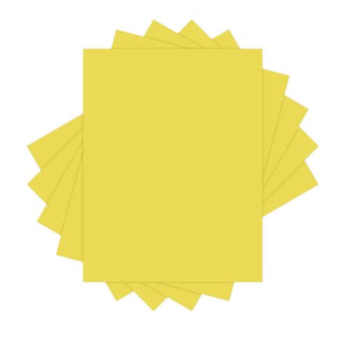 238125473.jpg