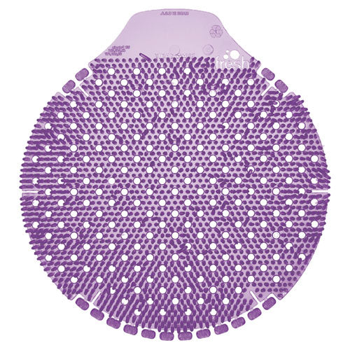 238233304.jpg