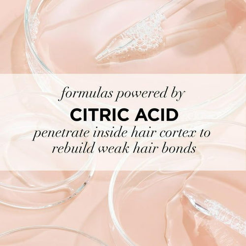 L'Oreal Paris EverPure Sulfate Free Bond Repair Pre Shampoo Treatment, 5.1 fl oz EasyOptionXY LLC