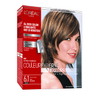 L'Oreal Paris Couleur Experte Hair Color + Highlights, Light Ash Brown, French Eclair, 1 Kit EasyOptionXY LLC