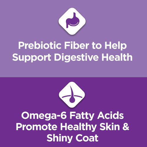 Purina Cat Chow Sensitive Stomach Turkey Dry Cat Food 13 lb Bag EasyOptionXY LLC