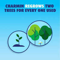 Charmin Ultra Soft Toilet Paper, 4 Mega Rolls EasyOptionXY LLC