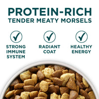 Purina ONE Plus Large Breed Puppy Food Dry Formula EasyOptionXY LLC