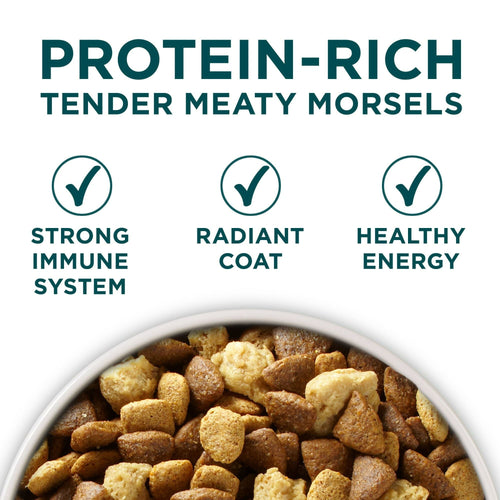 Purina ONE Plus Large Breed Puppy Food Dry Formula EasyOptionXY LLC