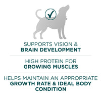 Purina ONE Plus Large Breed Puppy Food Dry Formula EasyOptionXY LLC