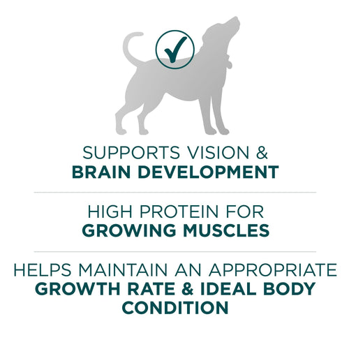 Purina ONE Plus Large Breed Puppy Food Dry Formula EasyOptionXY LLC