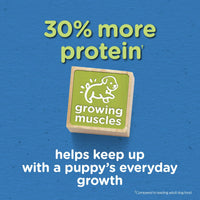 Purina Puppy Chow High Protein Dry Puppy Food Tender & Crunchy With Real Beef 15 lb Bag EasyOptionXY LLC