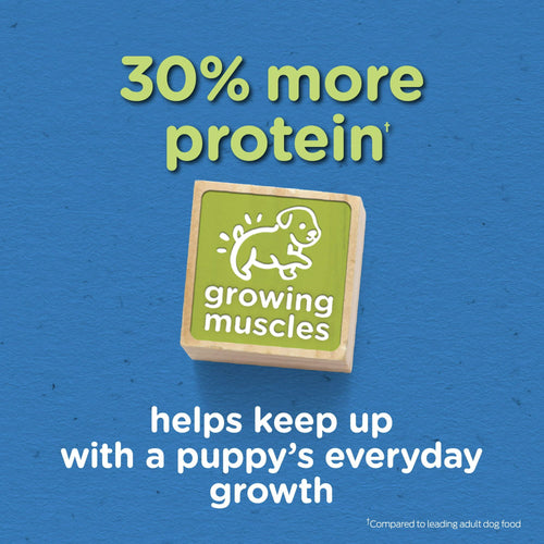 Purina Puppy Chow High Protein Dry Puppy Food Tender & Crunchy With Real Beef 15 lb Bag EasyOptionXY LLC