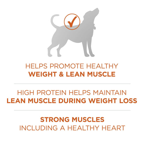 Purina ONE Plus Healthy Weight Dog Food Dry Formula EasyOptionXY LLC