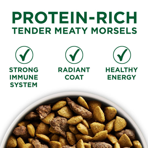 Purina One +Plus Dry Dog Food for Adult Dogs Small Breed Adult Formula 7.4 lb Bag EasyOptionXY LLC