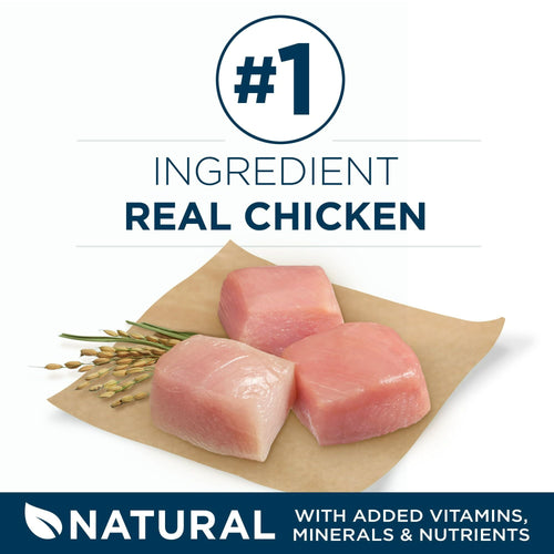 Purina ONE Plus Large Breed Adult Dog Food Dry Formula EasyOptionXY LLC