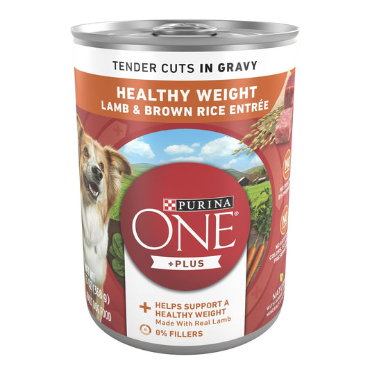 Purina ONE +Plus Lamb & Brown Rice Gravy Wet Dog Food 13 oz Can EasyOptionXY LLC