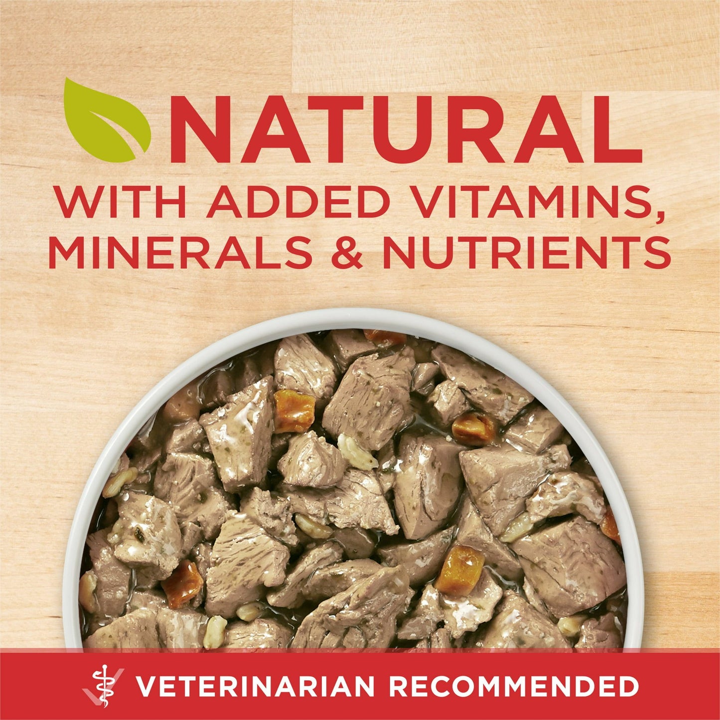 Purina ONE +Plus Lamb & Brown Rice Gravy Wet Dog Food 13 oz Can EasyOptionXY LLC