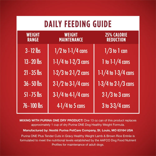 Purina ONE +Plus Lamb & Brown Rice Gravy Wet Dog Food 13 oz Can EasyOptionXY LLC