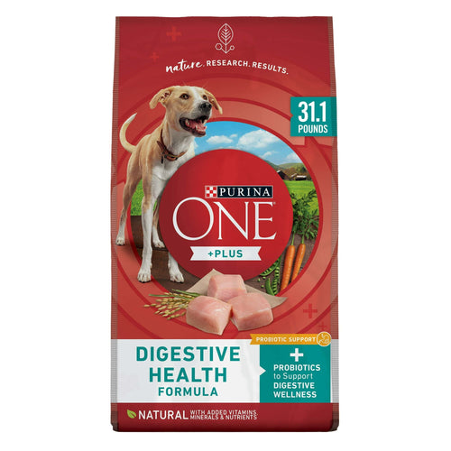 Purina One +Plus Dry Dog Food Digestive Health Formula 31.1 lb Bag EasyOptionXY LLC