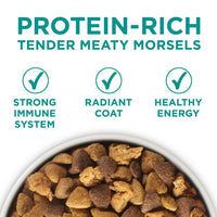 Purina One +Plus Dry Dog Food Digestive Health Formula 31.1 lb Bag EasyOptionXY LLC