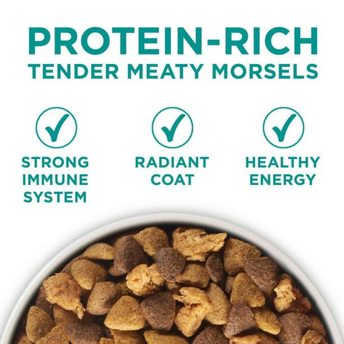 Purina One +Plus Dry Dog Food Digestive Health Formula 31.1 lb Bag EasyOptionXY LLC