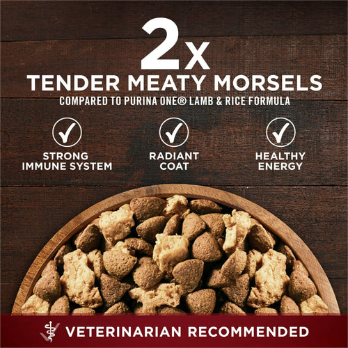 Purina One True Instinct Dry Dog Food Beef and Salmon 27.5 lb Bag EasyOptionXY LLC