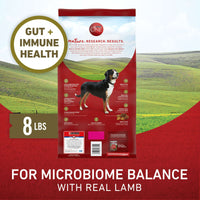 Purina ONE Dry Dog Food Lamb and Rice Formula EasyOptionXY LLC