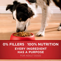 Purina ONE Dry Dog Food Lamb and Rice Formula EasyOptionXY LLC