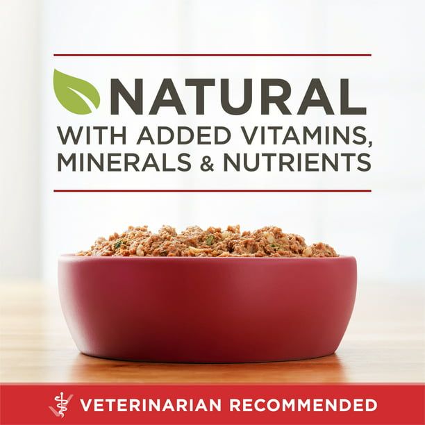 Purina ONE High Protein Natural Beef & Brown Rice Ground Wet Dog Food 13 oz Can EasyOptionXY LLC
