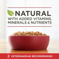 Purina ONE High Protein Natural Beef & Brown Rice Ground Wet Dog Food 13 oz Can EasyOptionXY LLC