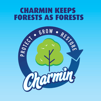 Charmin Ultra Strong Toilet Paper, 24 Mega Roll EasyOptionXY LLC
