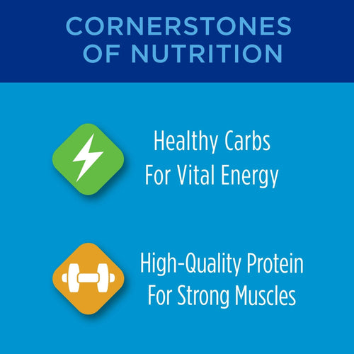 Purina Cat Chow Complete Dry Cat Food 20 lb Bag EasyOptionXY LLC