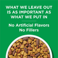 Purina Dog Chow Chicken Flavor Dry Dog Food 44 lb Bag EasyOptionXY LLC