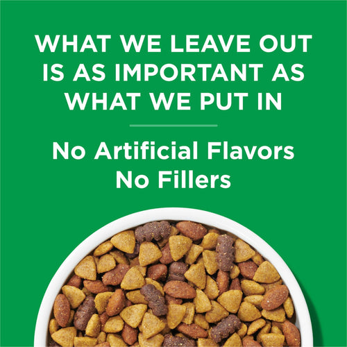 Purina Dog Chow Chicken Flavor Dry Dog Food 44 lb Bag EasyOptionXY LLC