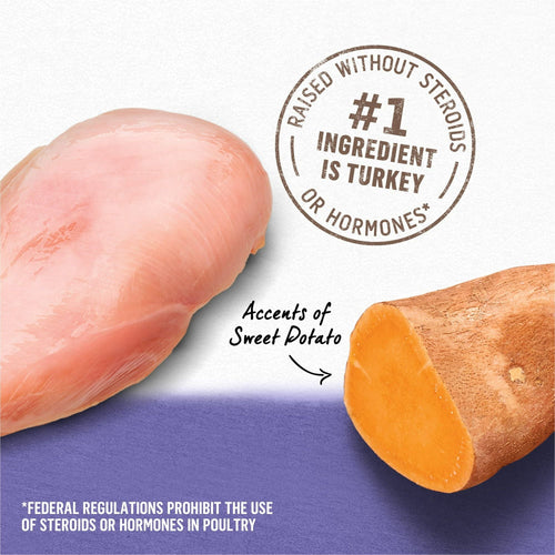 Purina Beyond Natural Wet Dog Food Pate Grain Free Turkey & Sweet Potato Recipe Ground Entree 13 oz. Can EasyOptionXY LLC