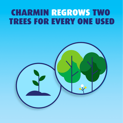 Charmin Ultra Soft Toilet Paper, 24 Mega Rolls EasyOptionXY LLC