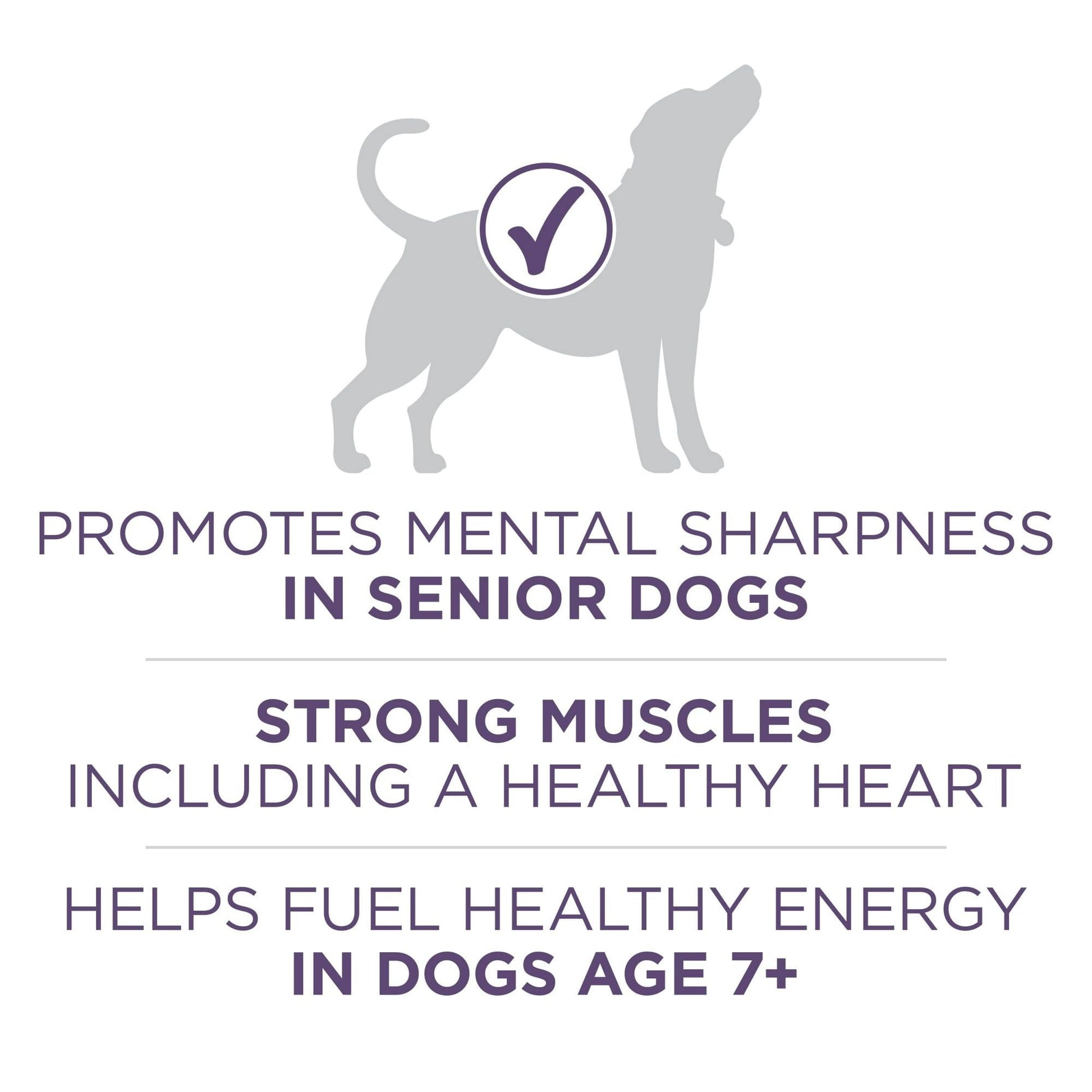 Purina ONE High Protein Dry Senior Dog Food Plus Vibrant Maturity Adult 7 Plus Formula EasyOptionXY LLC