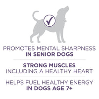 Purina ONE High Protein Dry Senior Dog Food Plus Vibrant Maturity Adult 7 Plus Formula EasyOptionXY LLC