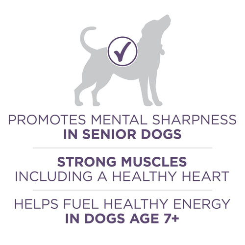 Purina ONE High Protein Dry Senior Dog Food Plus Vibrant Maturity Adult 7 Plus Formula EasyOptionXY LLC