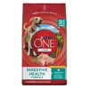 Purina One +Plus Dry Dog Food Digestive Health Formula 31.1 lb Bag EasyOptionXY LLC