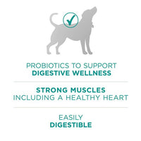 Purina One +Plus Dry Dog Food Digestive Health Formula 31.1 lb Bag EasyOptionXY LLC