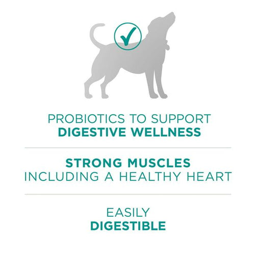 Purina One +Plus Dry Dog Food Digestive Health Formula 31.1 lb Bag EasyOptionXY LLC