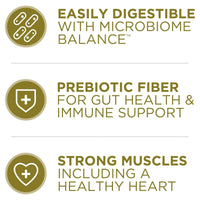 Purina ONE Dry Dog Food Lamb and Rice Formula EasyOptionXY LLC