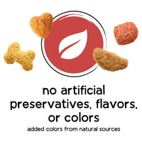 Purina Beneful Originals Natural Salmon Dry Dog Food 14 lb Bag EasyOptionXY LLC