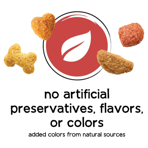 Purina Beneful Originals Natural Salmon Dry Dog Food 14 lb Bag EasyOptionXY LLC